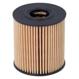 OFR-2031 (OE673	HU 711/51x SH 4035) Citroën; Fiat; Ford; Lancia; Landrover; Mini; Mitsubishi; Peugeo